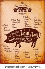 vector poster with detailed diagram cutting pork