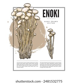 Vector poster of enoki mushrooms in sketch style with an empty space for text and a frame. Ideal for menu design of vegetarian dishes, organic and healthy cuisine.