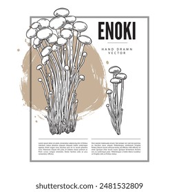 Vector poster with a frame and an empty space for text with fresh organic enoki mushrooms in the form of a hand-drawn sketch, perfect for design with cooking.