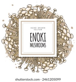 Vector poster with a frame of enoki mushrooms. Realistic hand-drawn drawing of fresh organic enoki mushrooms highlighted. Ideal for vegetarian cuisine