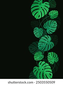 Vector poster, green leaves of monstera with siems on black background. plant art. Illustration for notebook, postcard, icons, banner, advertising, web, design, arts