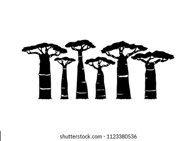 Vector  poster with hand drawn baobab trees. Beautiful design elements, ink drawing, logo template