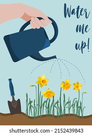 Vector poster with hand holding water can, watering yellow daffodils. Text included