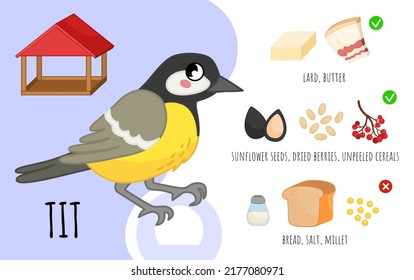 Vector poster how to feed a city ​​birds. List of allowed products. Cartoon illustration of a cute tit.
