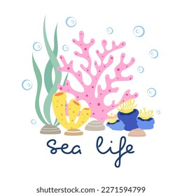 vector poster with lettering sea life, coral and algae or seaweed, cartoon flat illustration