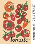 Vector poster with Mediterranean tomatoes and short phrase. Hand-drawn card isolated on white and blue background. Tasty food for design, print, fabric or background.