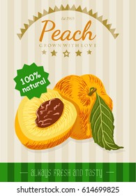 Vector poster with a peach. Vector illustration for your design