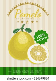 Vector poster with a pomelo. Vector illustration for your design