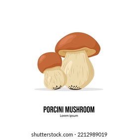 Vector poster with porcini mushrooms isolated on the white background. 