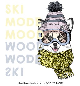 Vector poster portrait of welsh corgi dog.Ski mode mood.Puppy wearing beanie, scarf, goggles. Hand drawn illustration. sport shop, resort, ski-rent promotion, print, design. Xmas, Christmas, New Year.