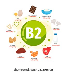 Vector poster products with vitamin B2. Cartoon illustrations of products.