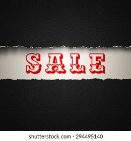 Vector poster with sale on torn paper