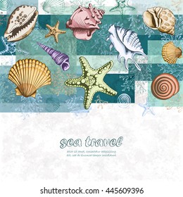 Vector poster with seashells, corals and starfishes. Marine background. Travel Template. Colorful layered illustration in sketch style. Perfect for greetings, invitations, wedding and web design.