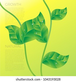 Vector Poster with Semi Realistic Green Leaf and stem, Leaves and Growth Design, Organic Business Branding, Brochure, Natural Background, Positive