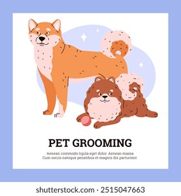 Un cartel de Vector que muestra el aseo de perros con la Imagen de un pomeraniano y un shiba inu. Una ilustración que muestra animales felices limpios con piel brillante