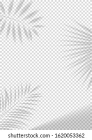 Vector poster with transparent shadow overlay effect. Realistic gray shadows of tropical leaves for decoration. Vector illustration.