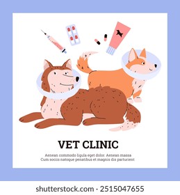 Vector poster of the veterinary clinic with corgi and husky with protective accessories. It includes a veterinary collar, medicines, cosmetics for pet care.