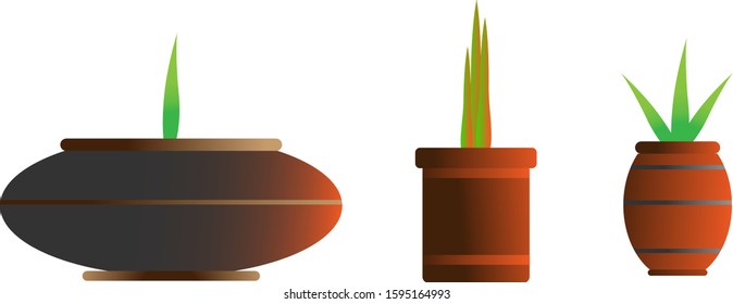
vector pot and aloe vera