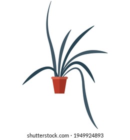 Cacerola vectorial con flor aislada en blanco