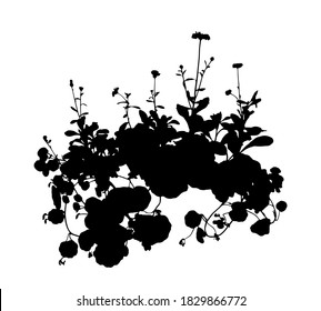 マリーゴールド シルエット のイラスト素材 画像 ベクター画像 Shutterstock マリーゴールド シルエット のイラスト素材 画像 ベクター画像 Shutterstock