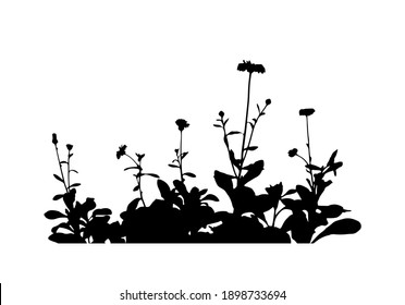 マリーゴールド シルエット のイラスト素材 画像 ベクター画像 Shutterstock マリーゴールド シルエット のイラスト素材 画像 ベクター画像 Shutterstock