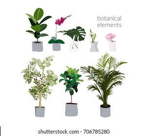 Vector Pot Plants Illustration. Philodendron, Palm Tree, Orchid, Flower In Vase. Interior Design Elements. Home Decor Decoration. House Plants. Collection.