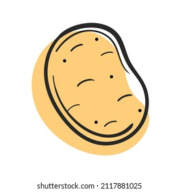 Vector potato line and abstract spot on white isolated background.