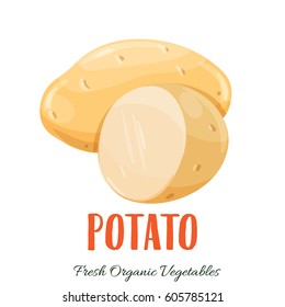 Vector potato. Vegetable illustration for farm market menu. Healthy food design