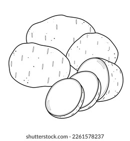 vector potato without color. vector potatoes black and white