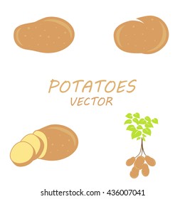 Vector Potatoes icons set on white background