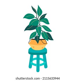 Vector Potted Plant on a blue Stool.Flat hand drawn illustration of home Floral decor in a Straw Basket. Isolated on a white background.Scandinavian style and cozy interior.