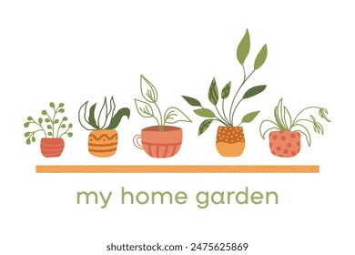 Vector potted plants card. My home garden collection indoor green decor. Flat illustrations isolated on white background. Different succulents, cacti, foliage. Interior houseplants in planters, basket