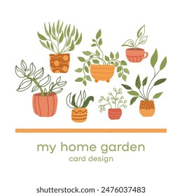 Vector potted plants card. My home garden collection indoor green decor. Flat illustrations isolated on white background. Different succulents, cacti, foliage. Interior houseplants in planters, basket