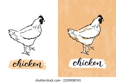 Vector poultry chicken. Lettering and hand drawn chicken silhouette. Domestic birds