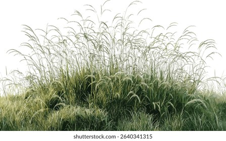 Vector prairie grass field, cut out grass, summer grass background, green nature, wild grass field, nature landscape,outdoor environment, green field