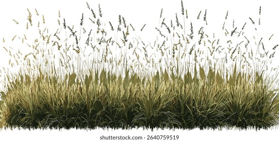 Vector prairie grass meadow row, nature, wide landscape, green field, summer breeze, open sky, natural habitat, peaceful, rural terrain, beautiful wildflowers