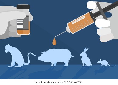 The vector  of Pre-clinical research of vaccine in animal experiment stage. Creative flat design for web banner, business presentation, online article.