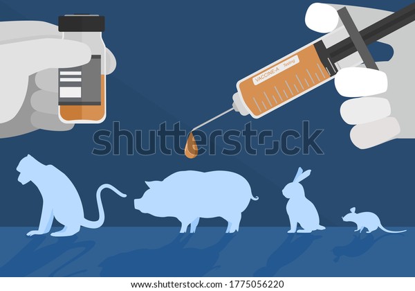 The vector  of Pre-clinical research of\
vaccine in animal experiment stage. Creative flat design for web\
banner, business presentation, online\
article.