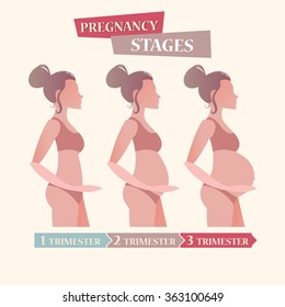 Vector pregnancy stages with flat icon set for your design