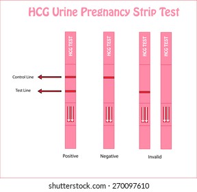 Vector of Pregnancy test ( urine test strip)