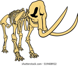 Vector prehistoric skeleton of mammoth on white background isolated illustration