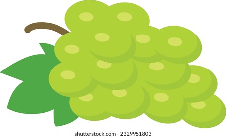 vector prepared and cleaned grape image