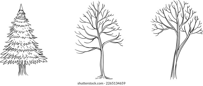 Vector prepared and cleaned Tree image