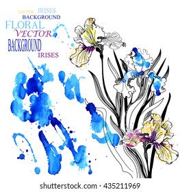 Vector  present card. Hand drawn iris and foliage.Floral background.