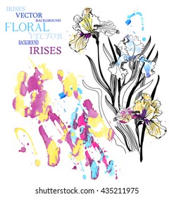 Vector  present card. Hand drawn iris and foliage.Floral background.