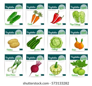 Vector price labels of farm organic vegetables as cucumber and carrot, bell or chili pepper and chinese cabbage, beet and squash, zucchini and kohlrabi. Vegetarian and vegan food