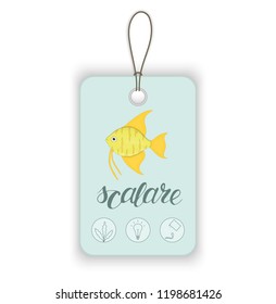 Vector price tag with aquarium fish and lettering. Illustration for pet shops. Aquarium fish names and icons. Cute scalare picture