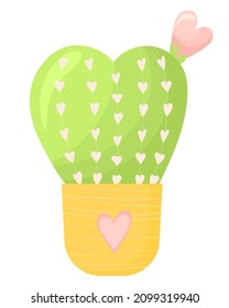 Vector prickly cactus in a flat style. Colorful illustration of a cactus with hearts and flowering. Cute cactus, an element for Valentine's Day, isolated on white background.