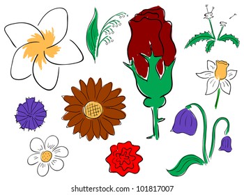 Vector primitive flowers collection on the white background
