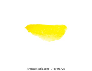 Vector primrose yellow or meadowlark watercolor background for text